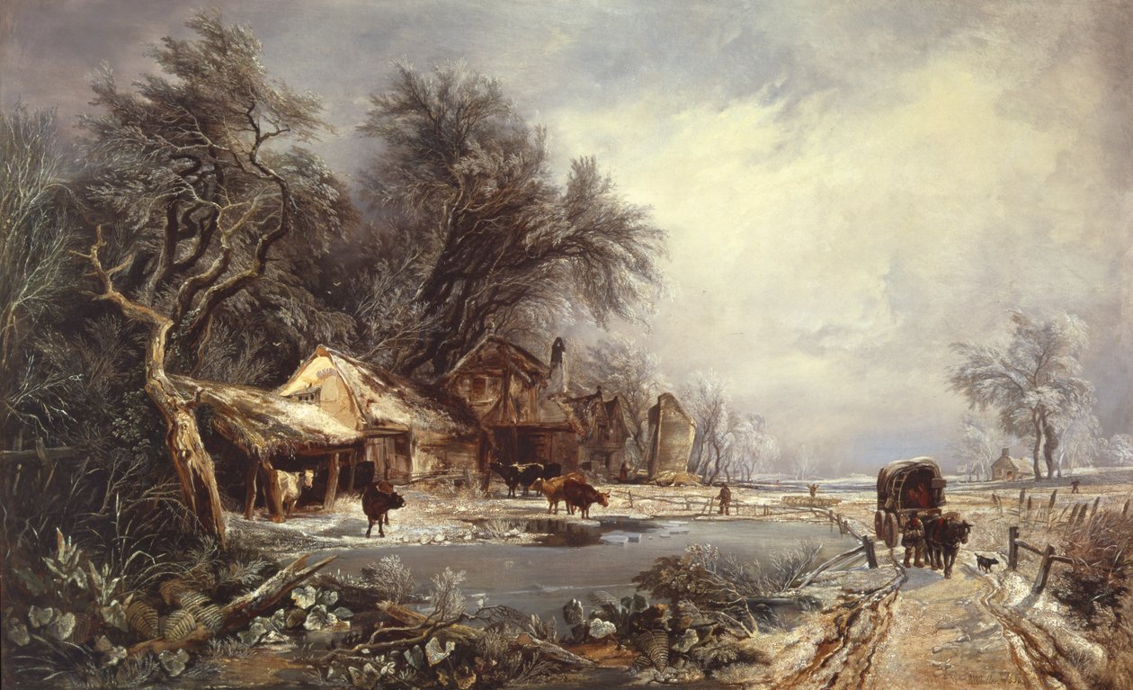 Paysage d