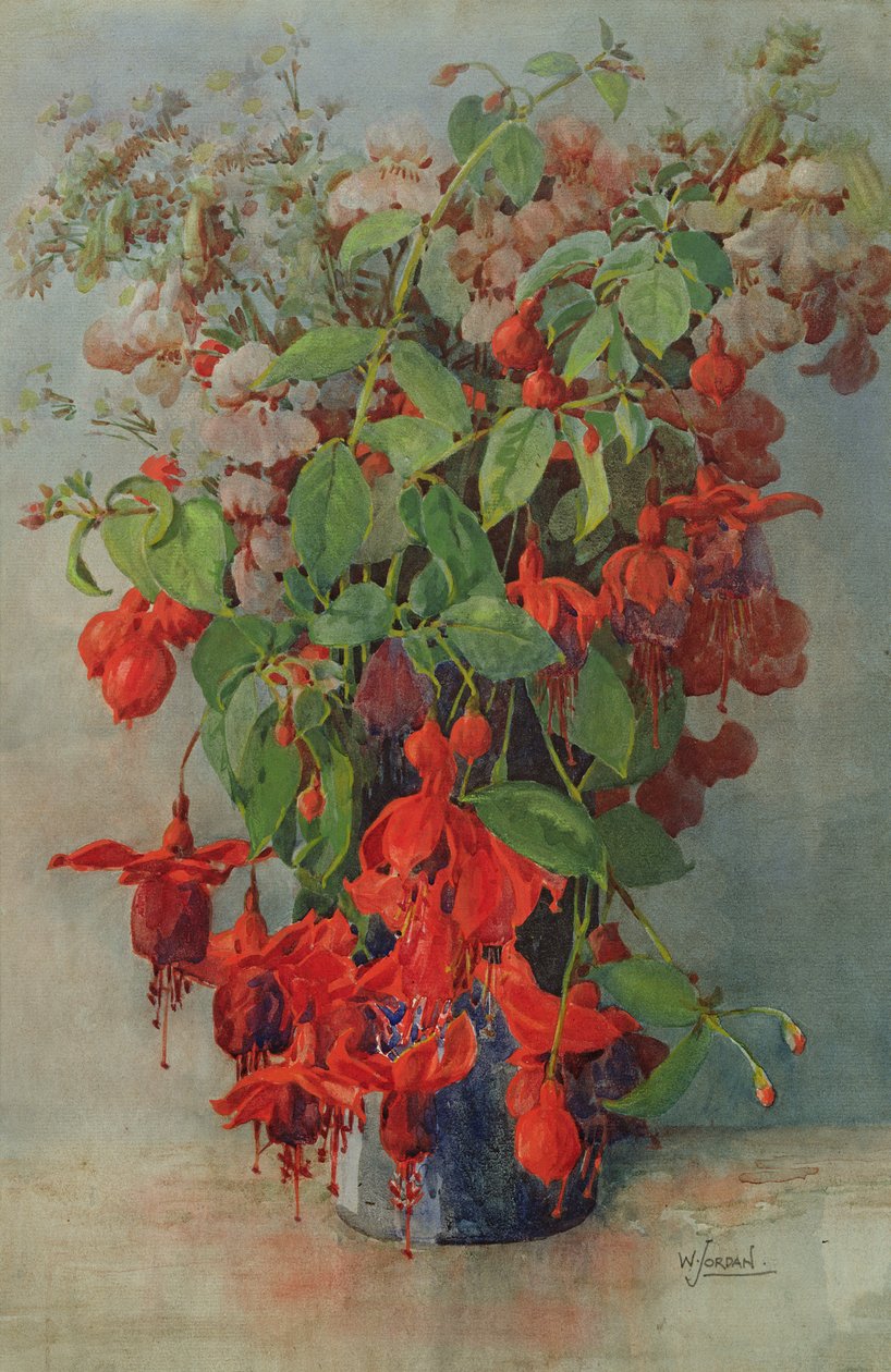 Fuchsia et muflier dans un vase - William Jordan