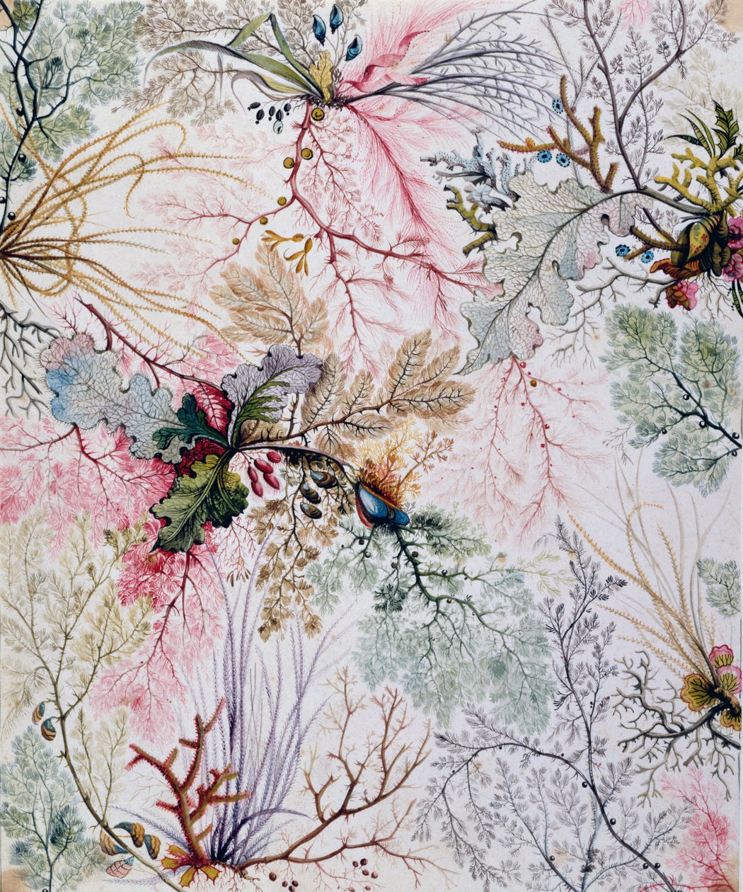 Motif textile, c.1788-92 - William Kilburn