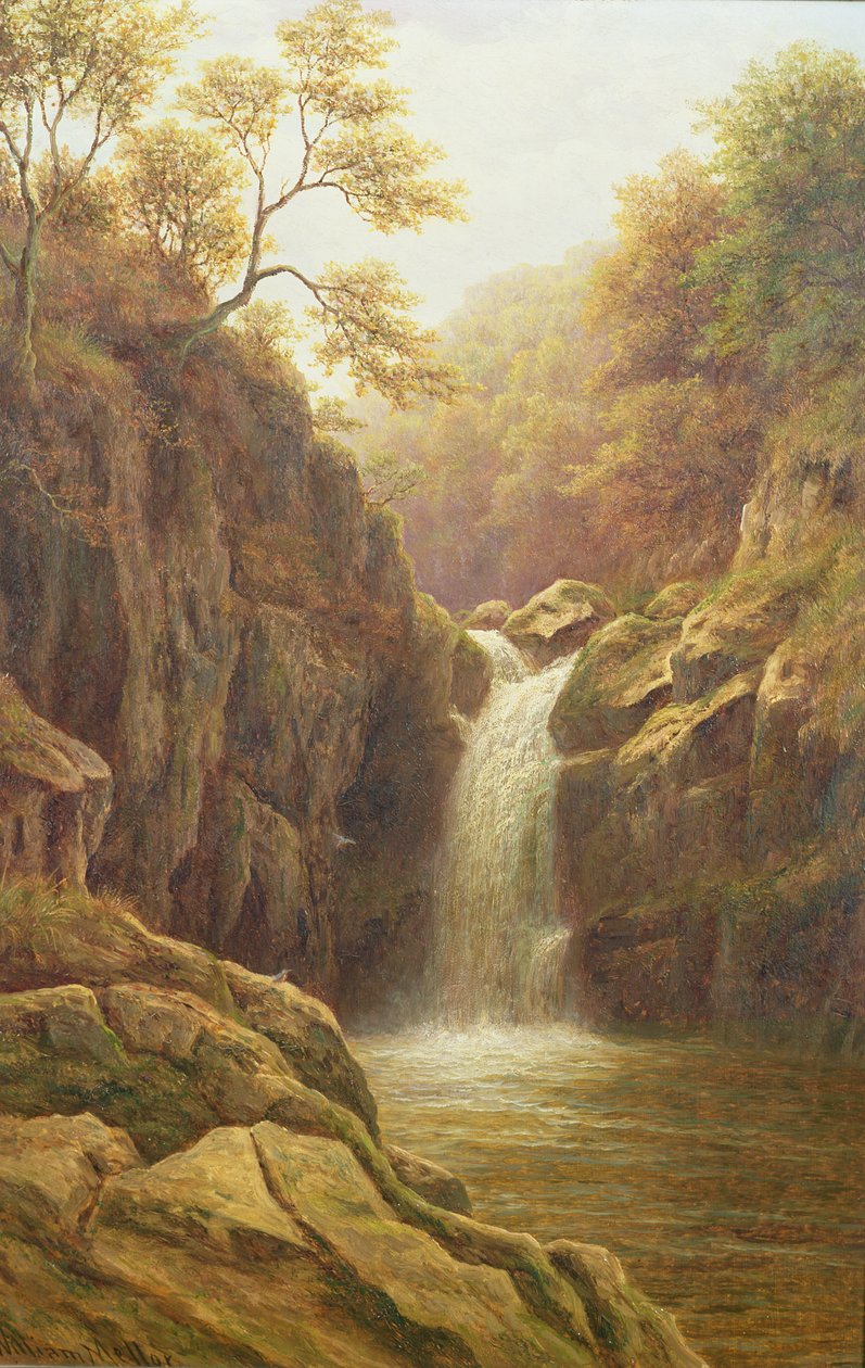 Pecca Foss - William Mellor