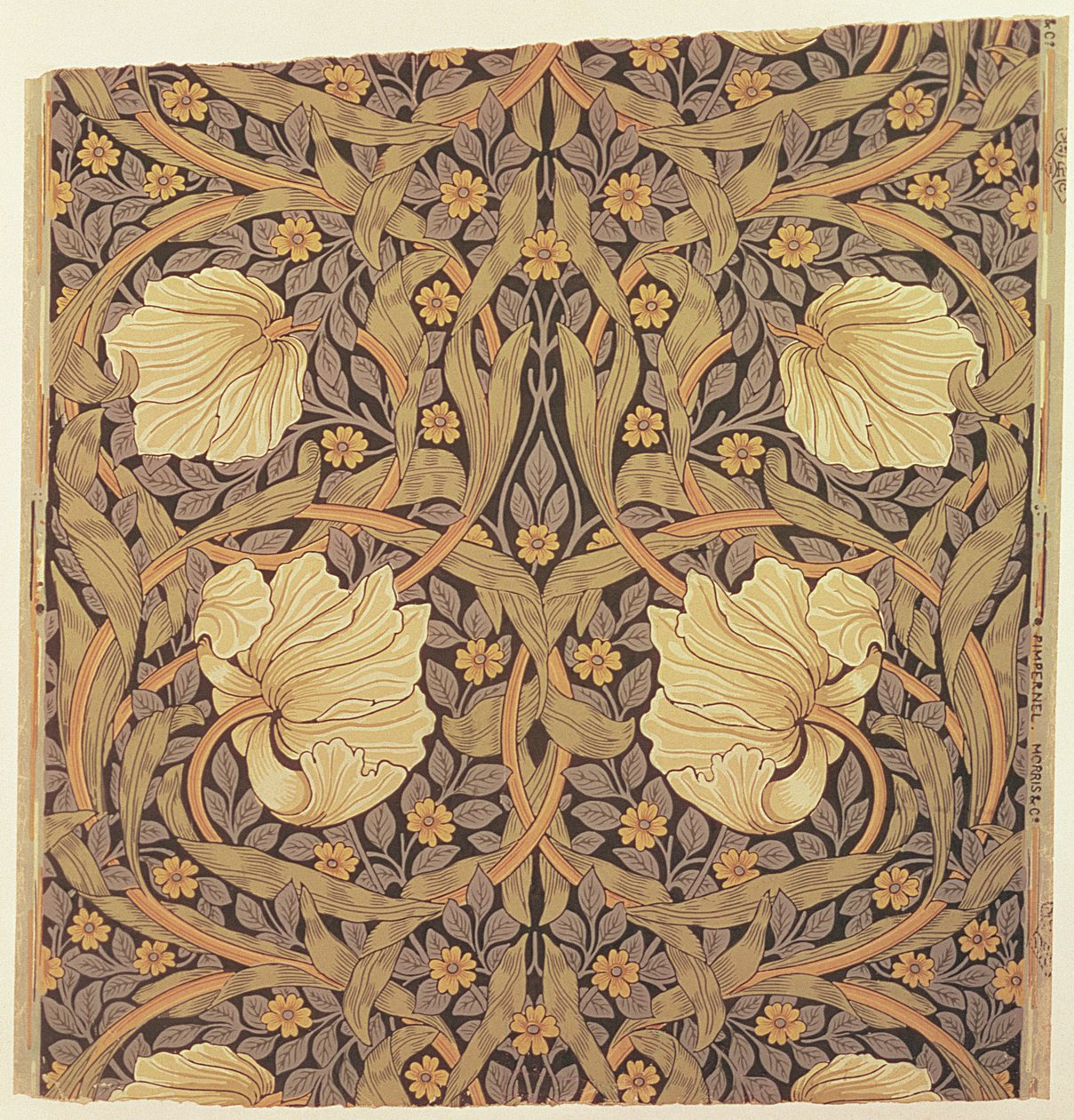 Design de papier peint 