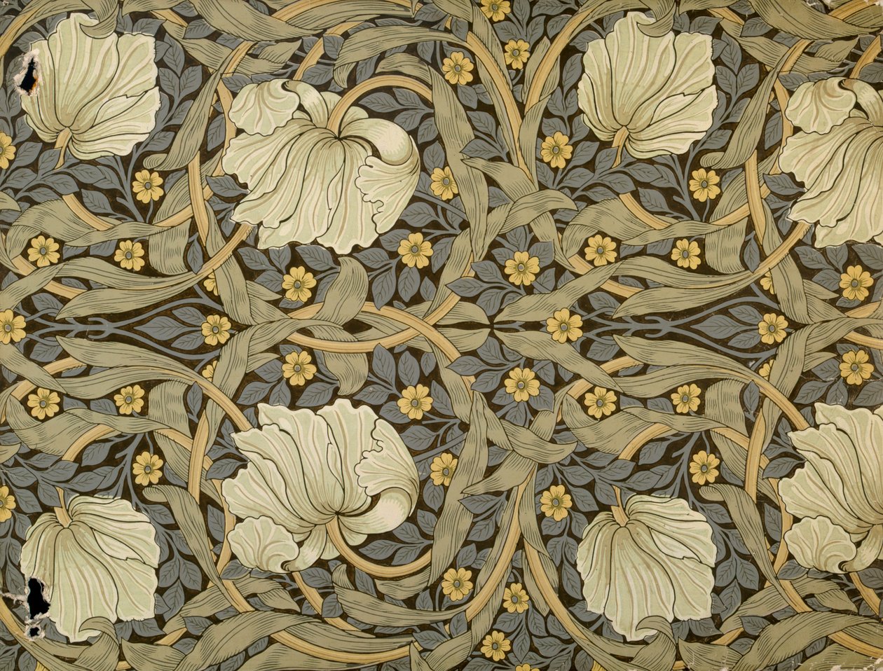 Pimpernell, design pour papier peint, 1876 - William Morris