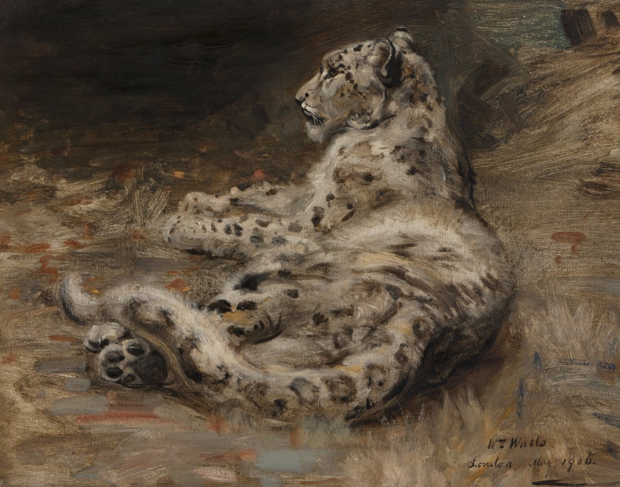 Un Léopard, 1906 - William Walls
