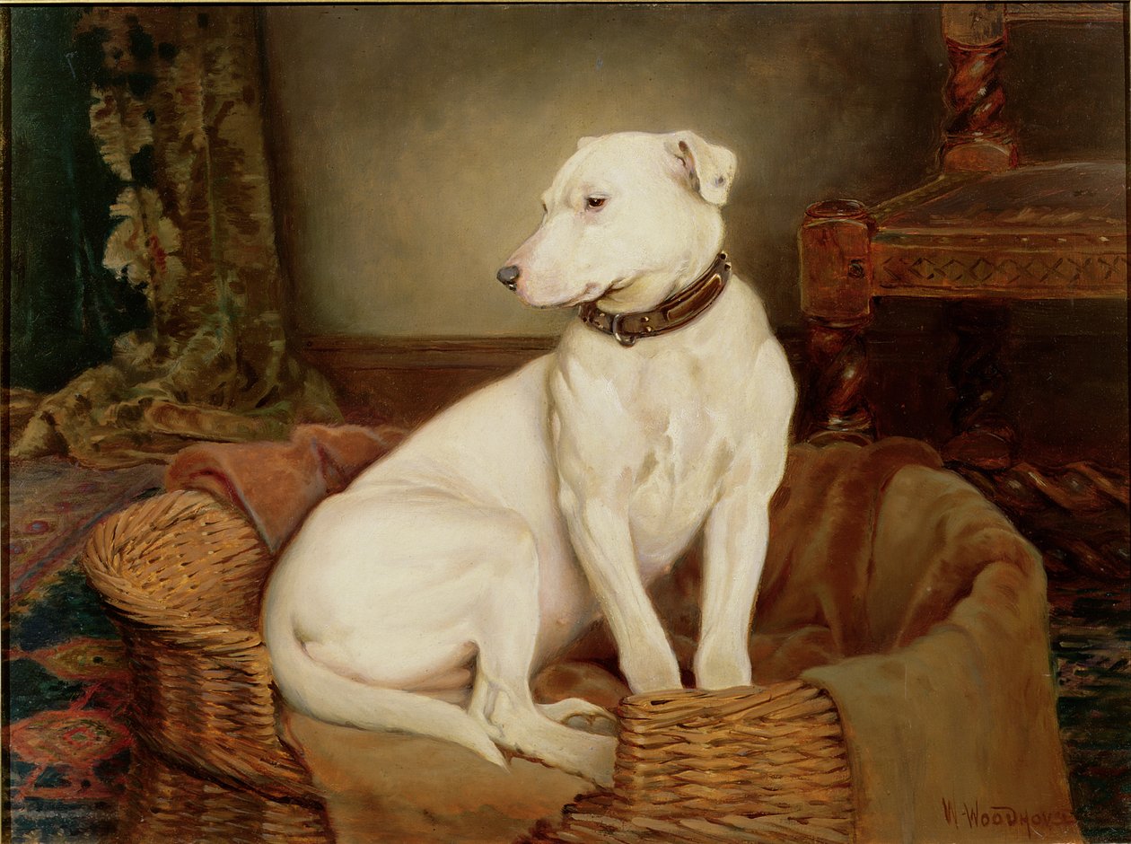 En disgrâce - William Woodhouse