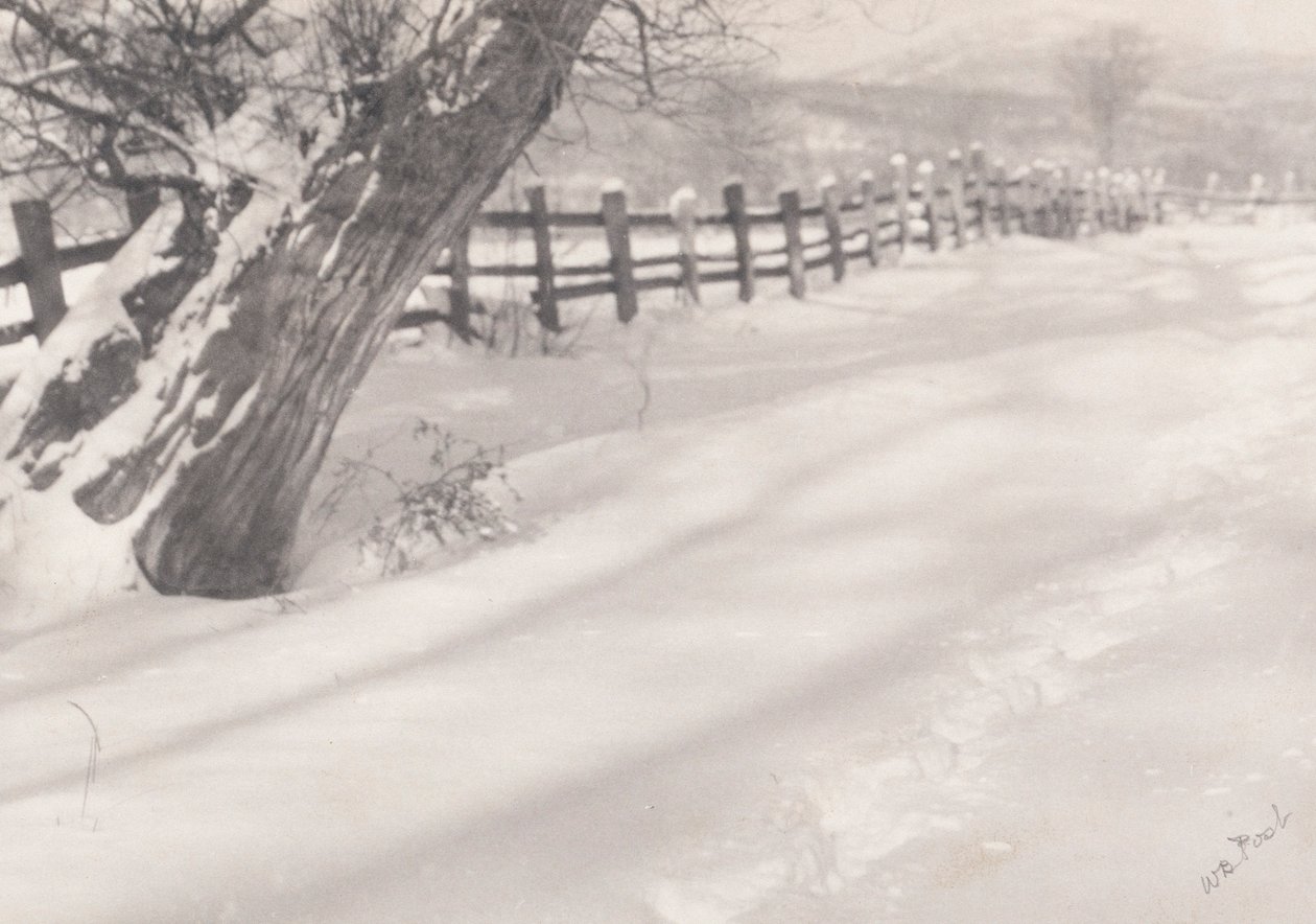 Chemin dans la neige - William B. Post