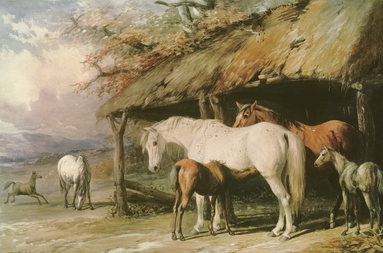 Juments et poulains, XIXe siècle - William Barraud