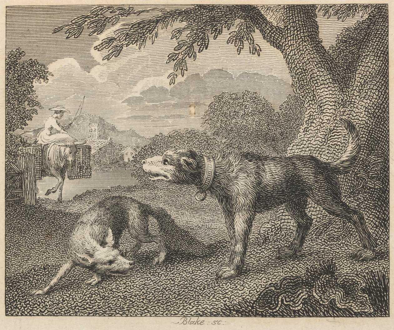 Le chien et le renard - William Blake