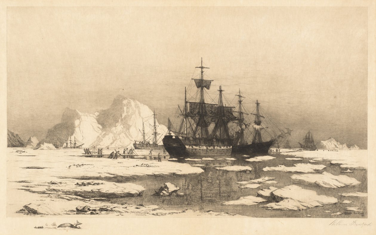 Parmi les glaces - William Bradford