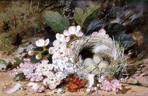 Nature morte avec nid d