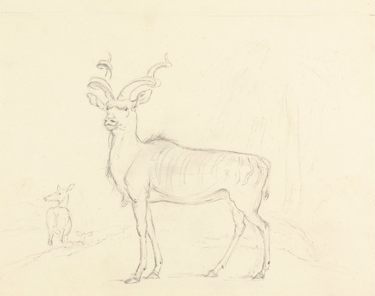 Le Koodoo - William Daniell