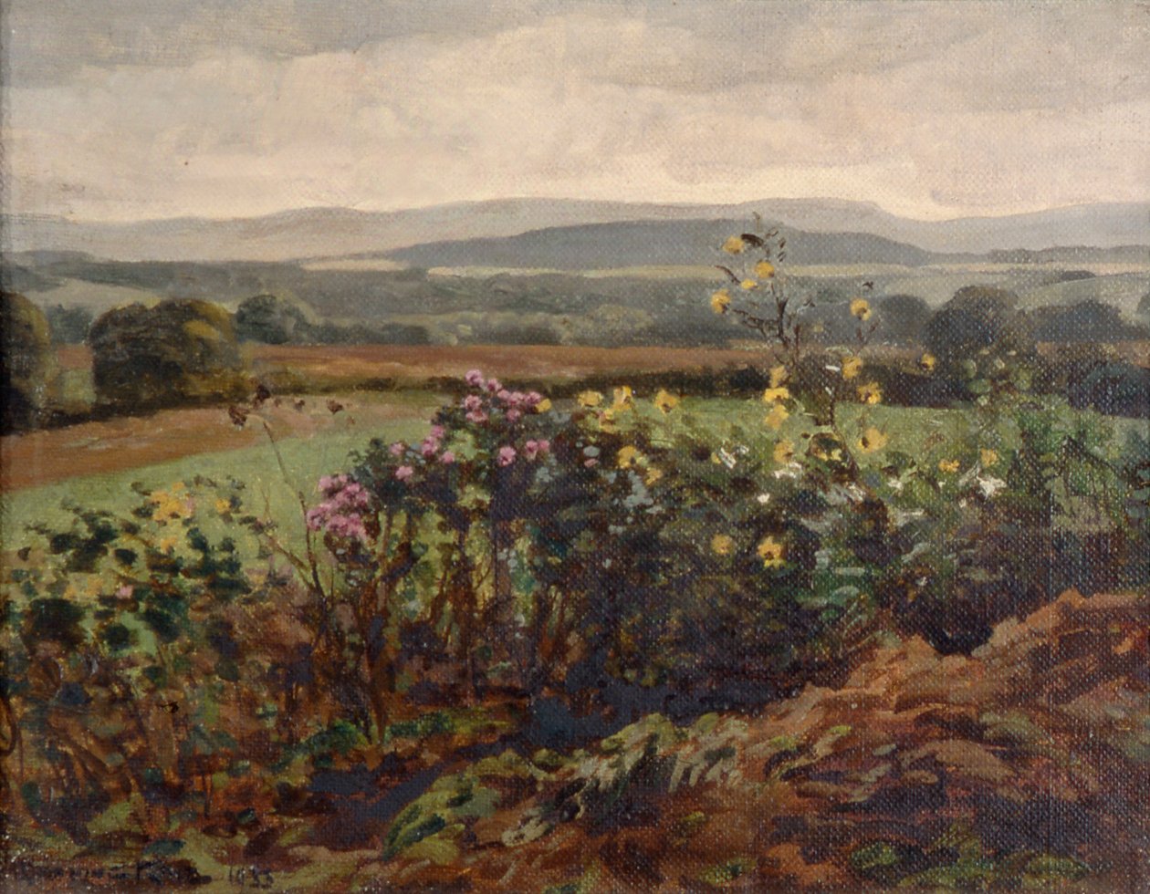 Fleurs sauvages - William Gunning King