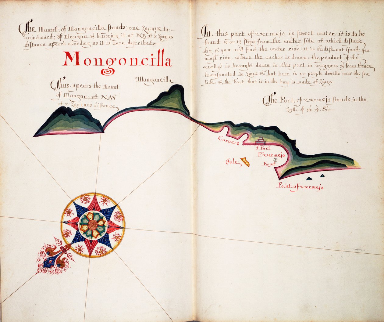 Mongoncilla - William Hack