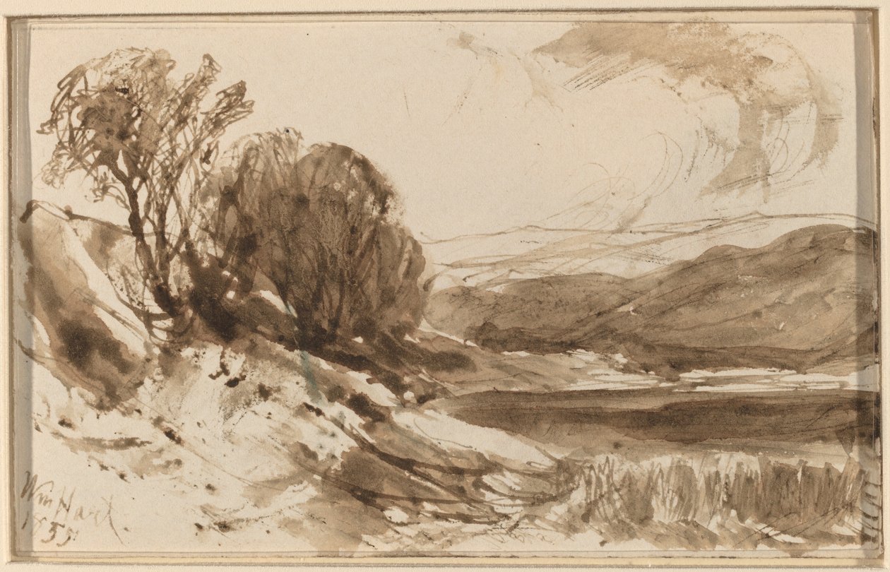 Paysage vallonné avec arbres - William Hart