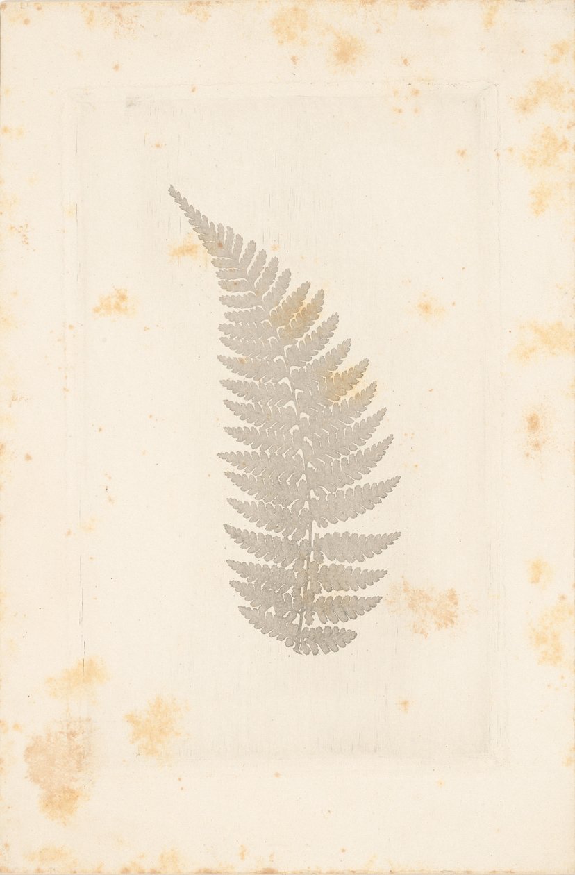 [Distance] - William Henry Fox Talbot