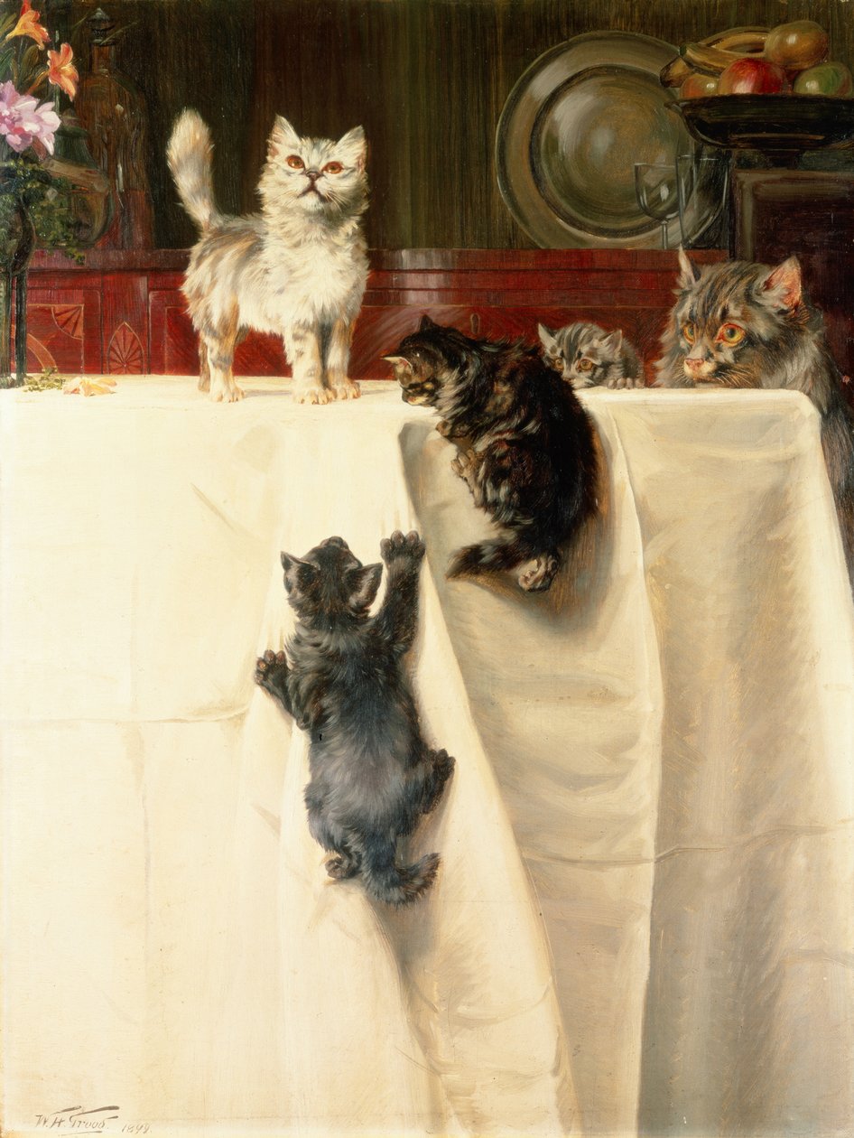 Chats - William Henry Hamilton Trood