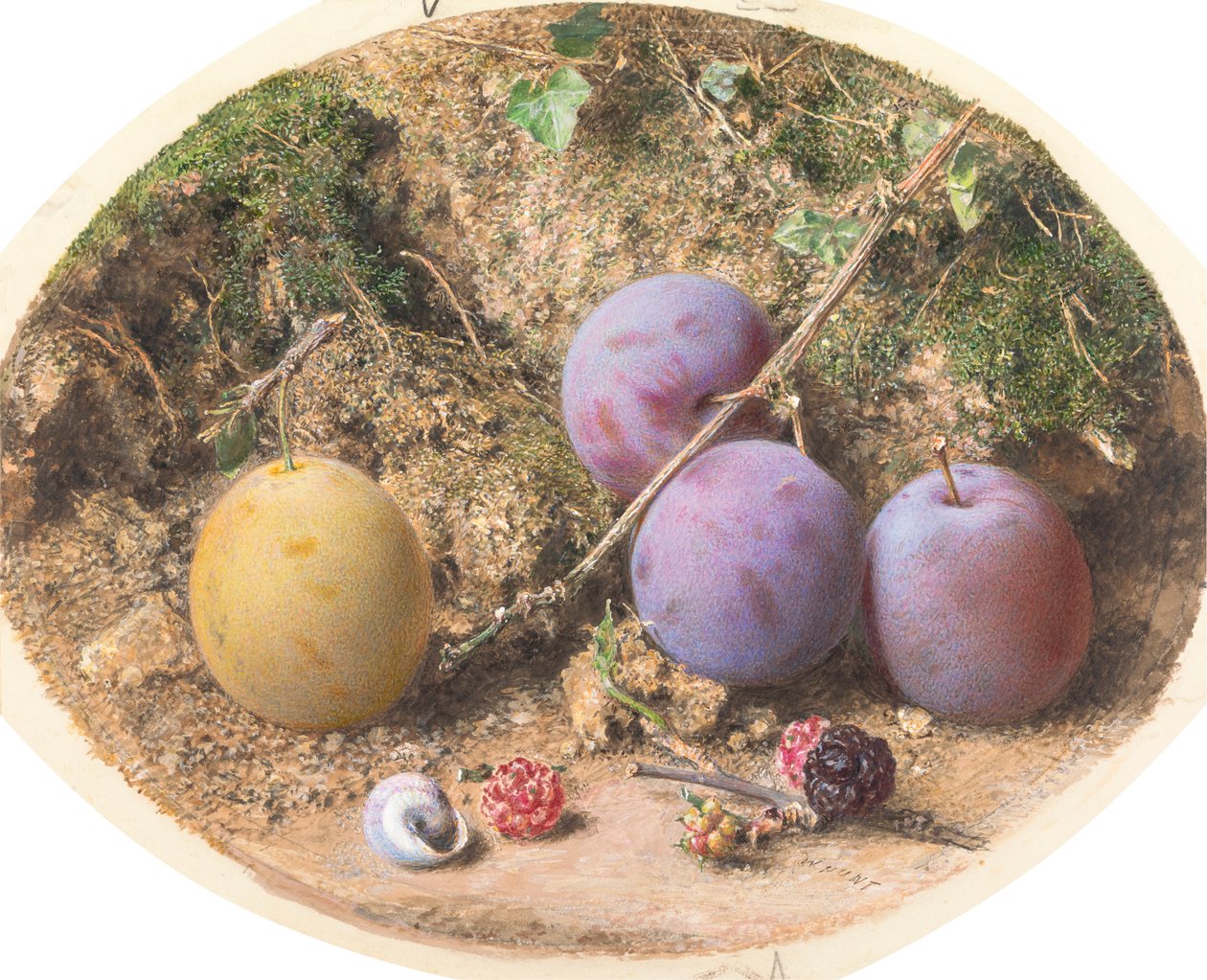 Prunes et mûres - William Henry Hunt