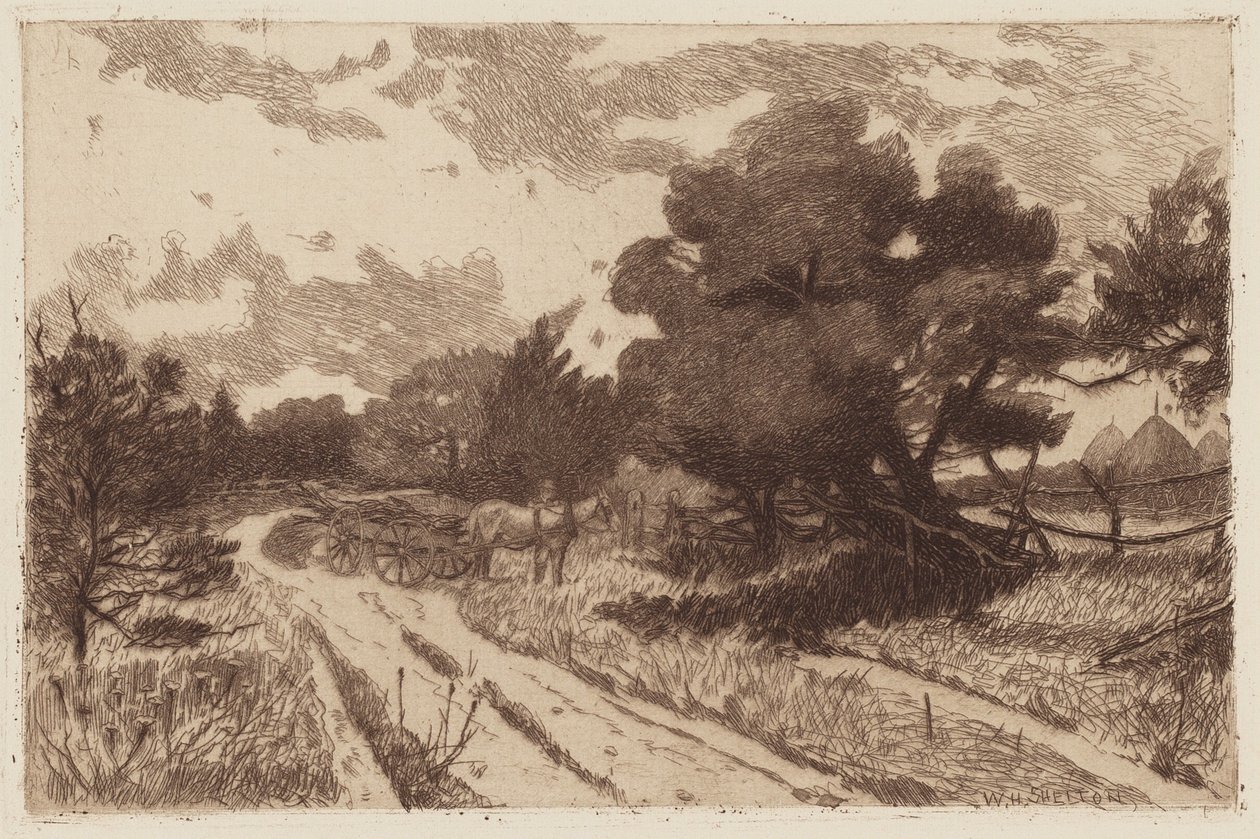 Une route de Long Island - William Henry Shelton