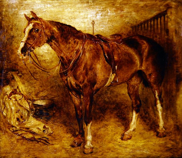 Un cheval dans l