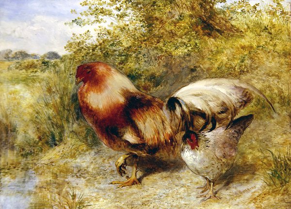 Volaille dans un paysage - William Huggins