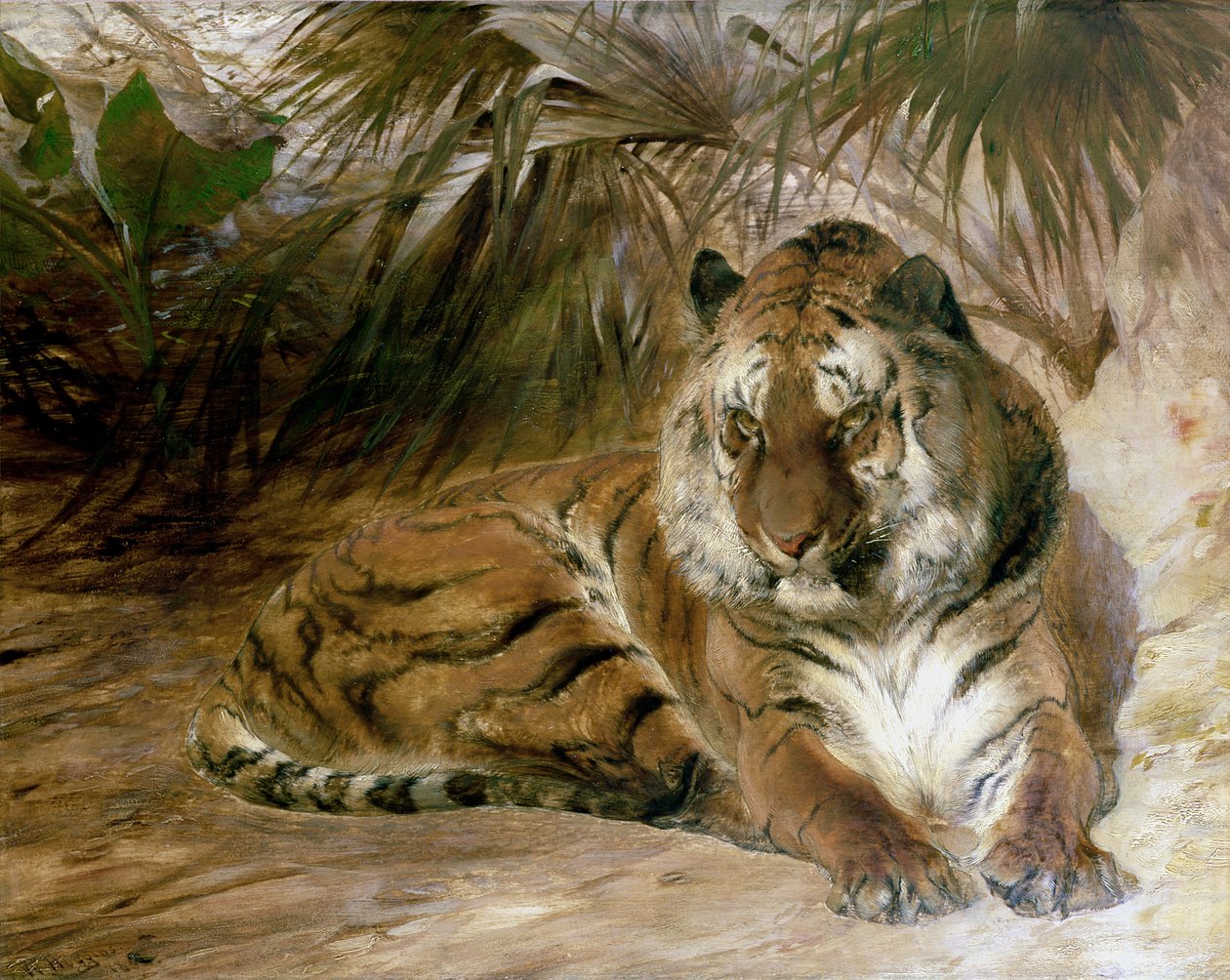 Tigre - William Huggins