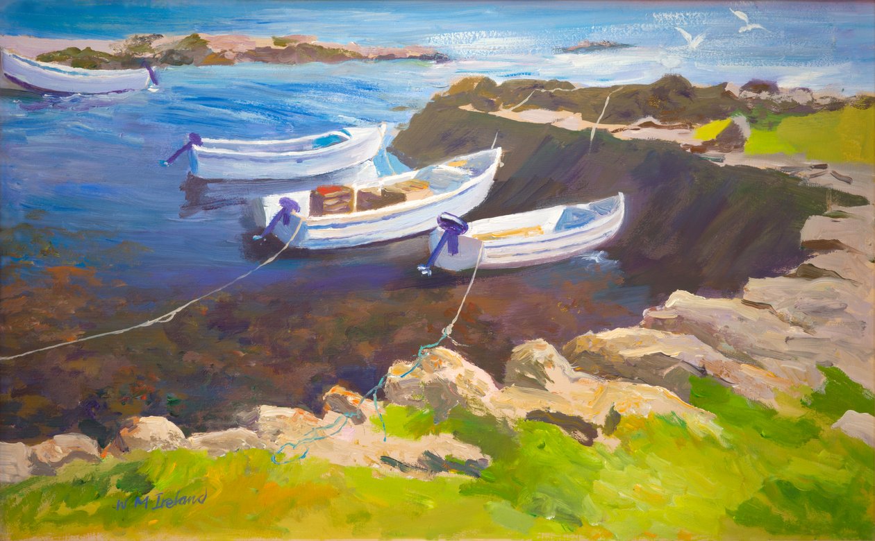 Port rocheux - William Ireland