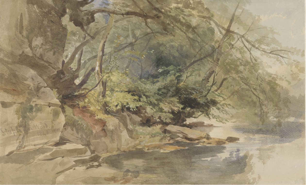 Vue dans Stapleton Wood, près de Bristol - William James Muller