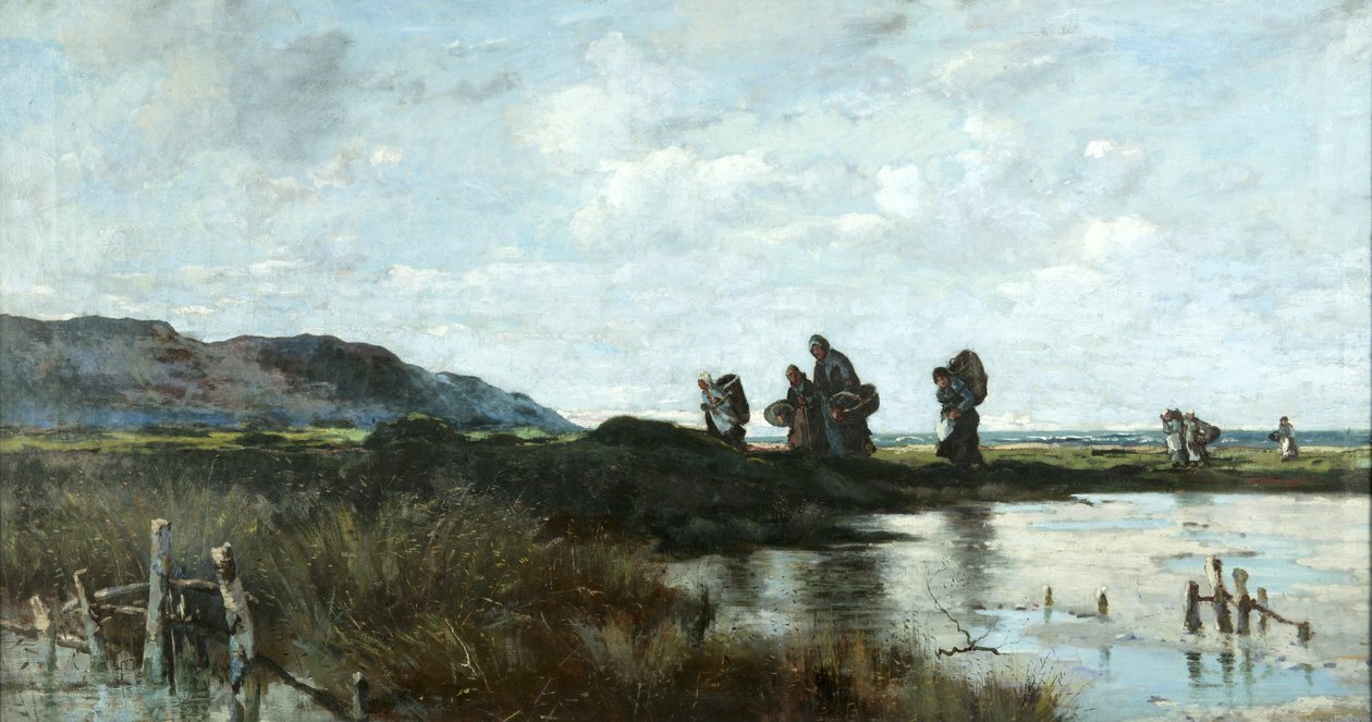 Retour à la maison, Conway Marsh - William Meredith