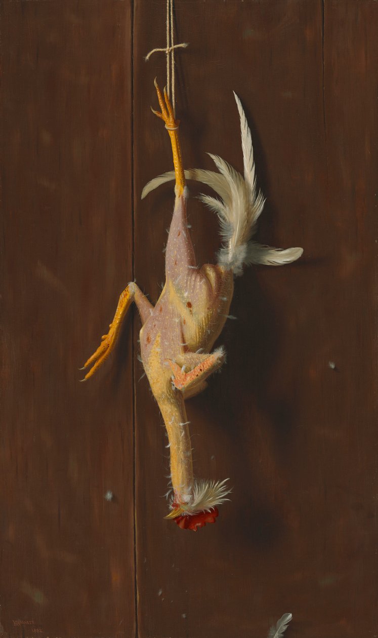 Plumé à vif - William Michael Harnett