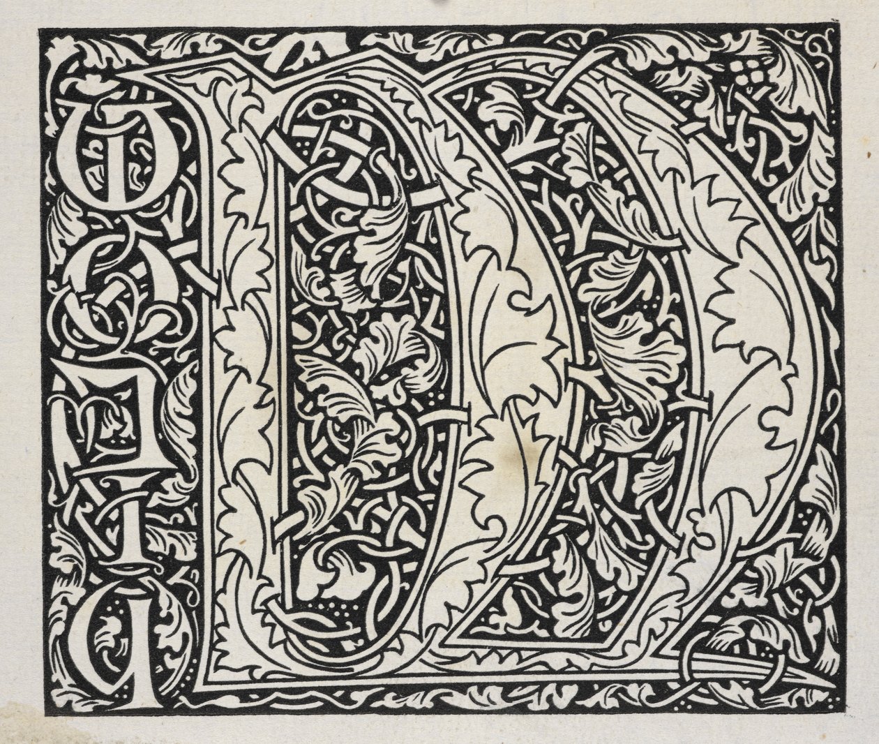 Initiale, noir et blanc - William Morris