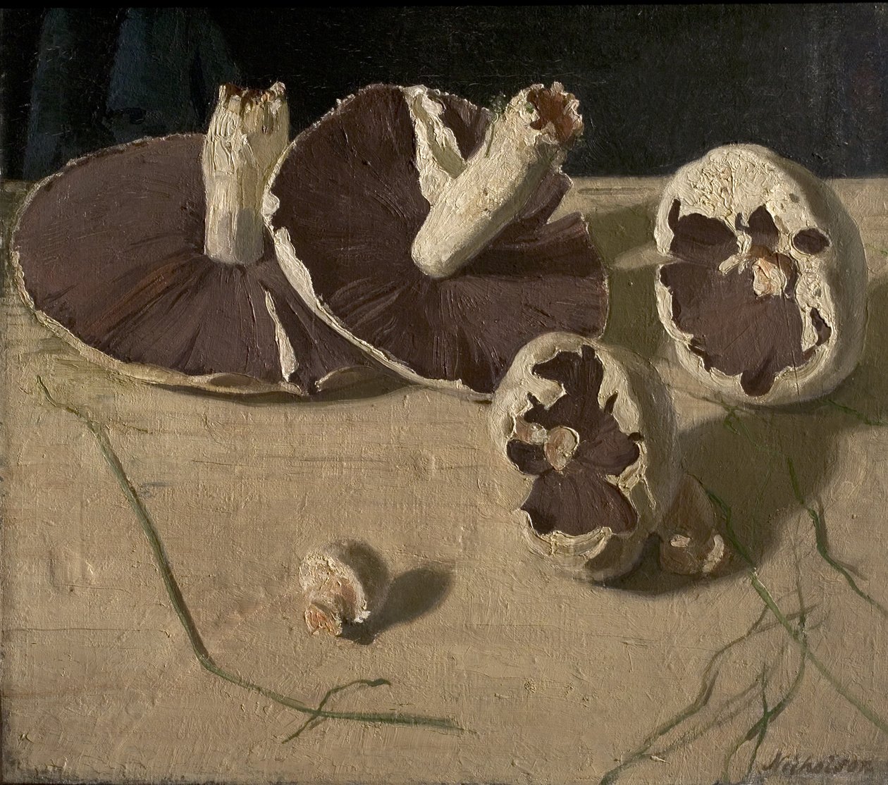 Champignons - William Nicholson