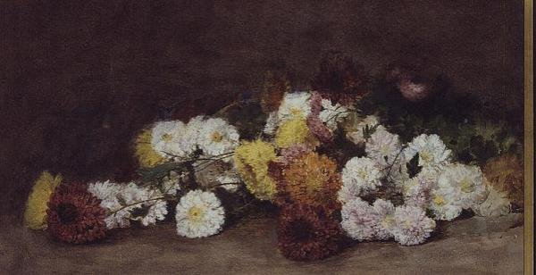 Chrysanthèmes - William Rathjens