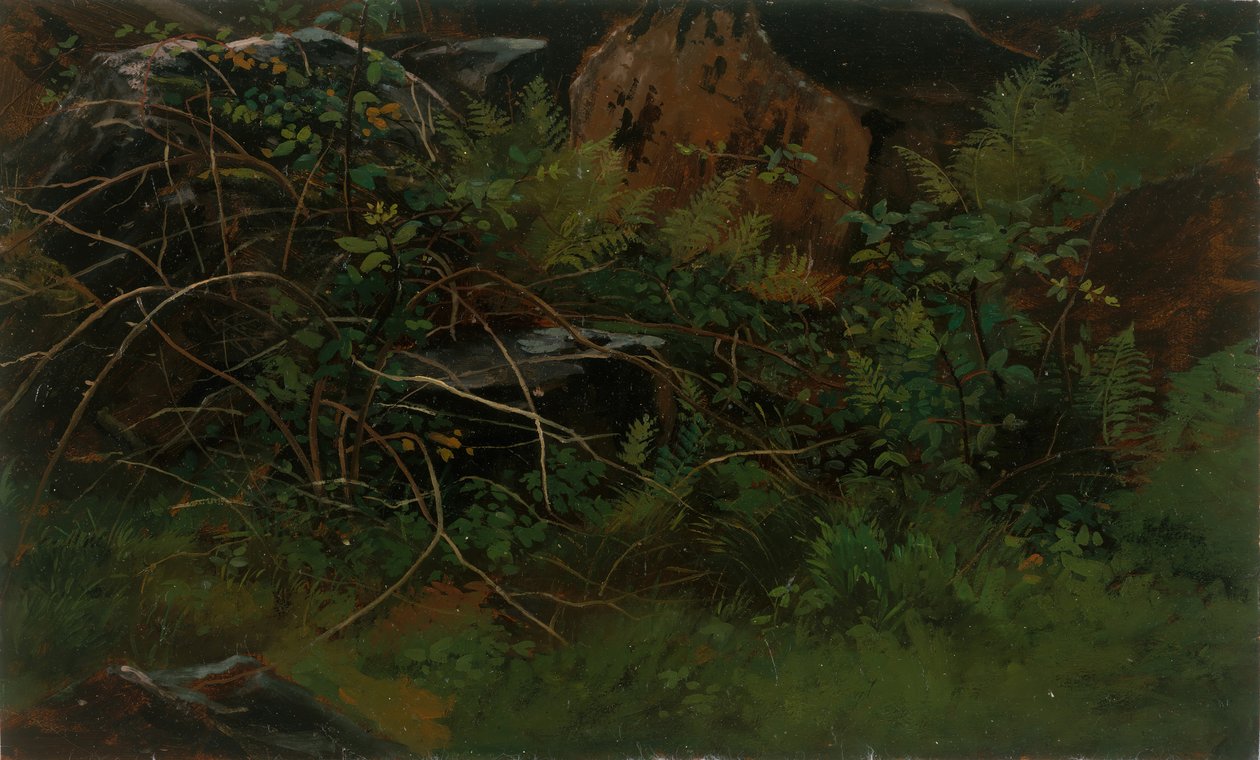Étude de la nature - William Stanley Haseltine