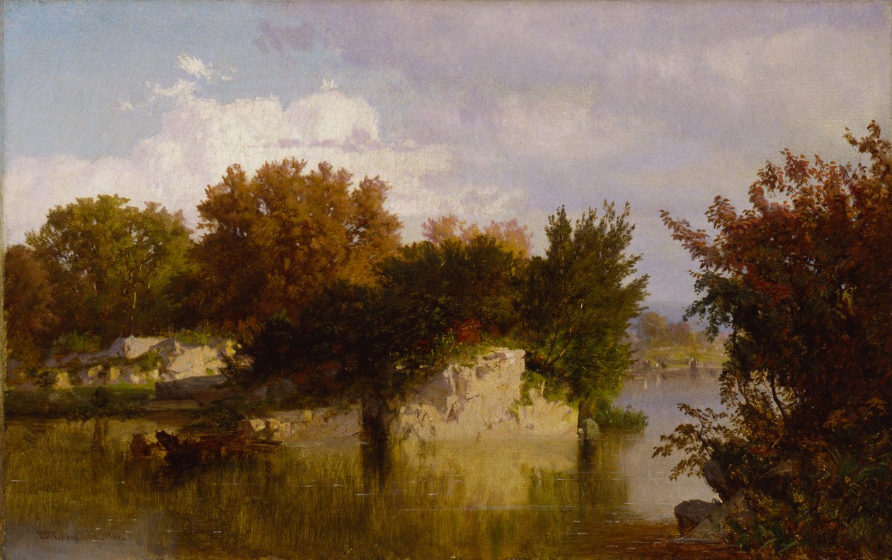 Arbres le long d