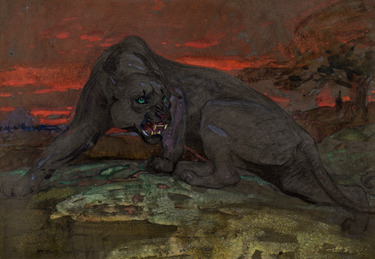 Panthère Noire - William Walls