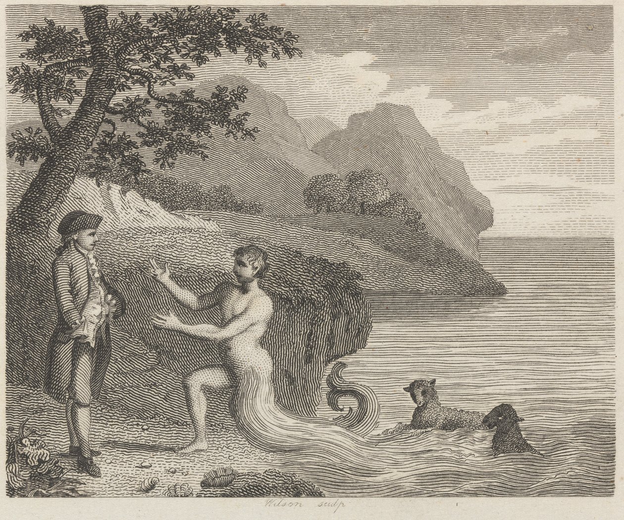 Courtisan et Protée - Wilson