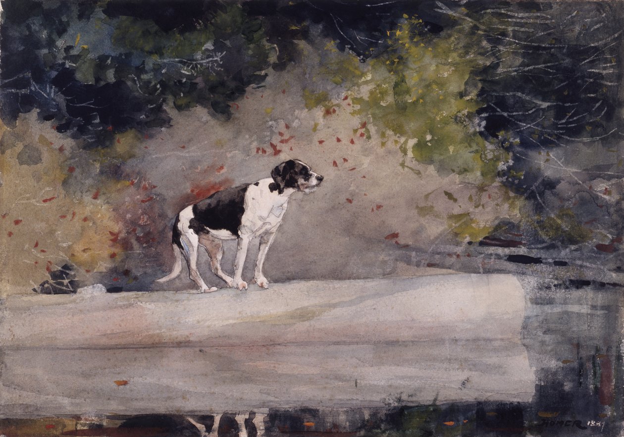 Chien sur une Bûche, 1889 - Winslow Homer