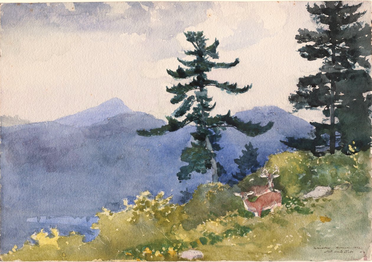 Club des bois du nord, Adirondacks - Winslow Homer