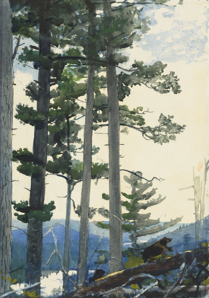 Anciens colons - Winslow Homer