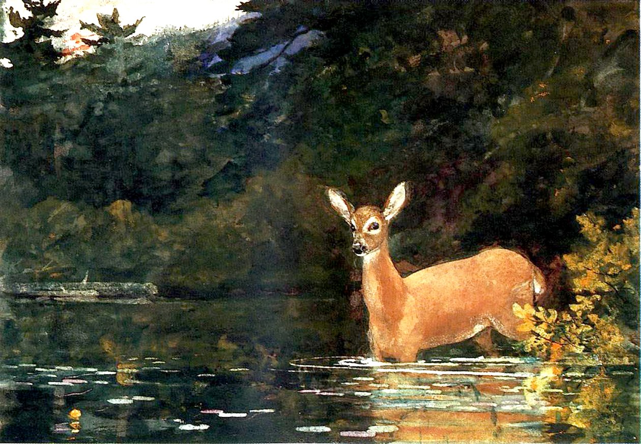 Une biche, 1889 - Winslow Homer