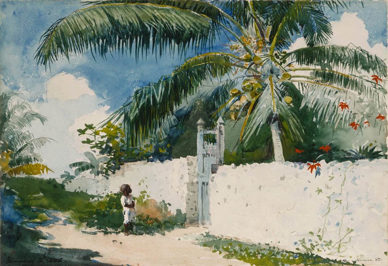Un jardin à Nassau - Winslow Homer