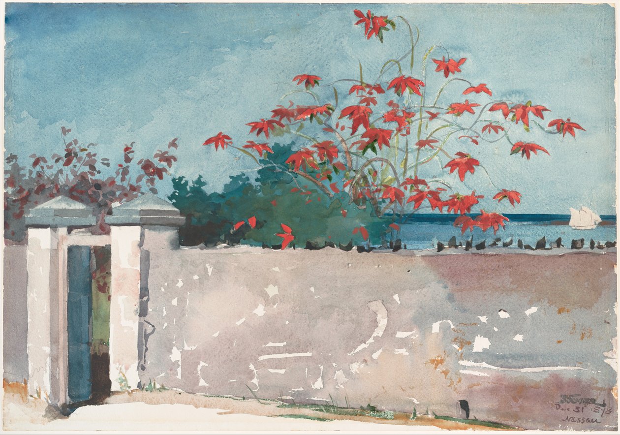 Un mur, Nassau - Winslow Homer