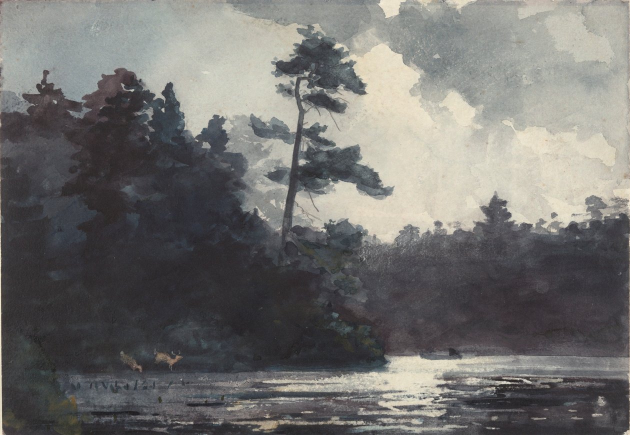 Lac Adirondack - Winslow Homer
