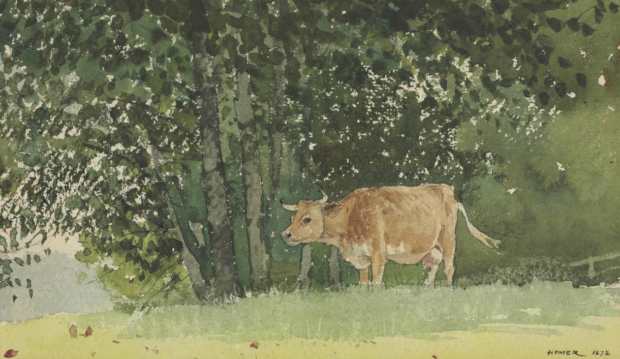 Vache au pâturage - Winslow Homer