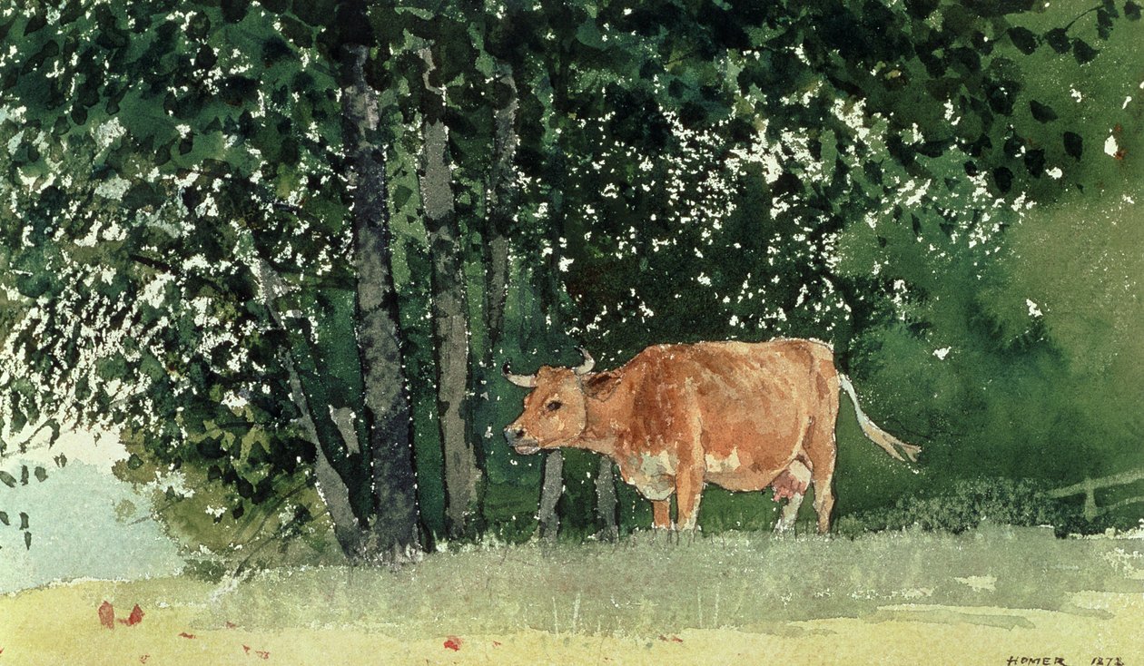 Vache dans un pâturage, 1878 - Winslow Homer