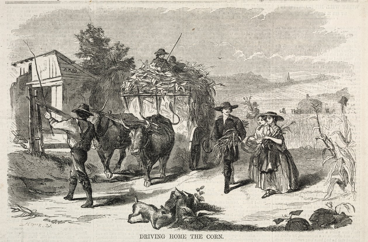 Le maïs à la maison - Winslow Homer