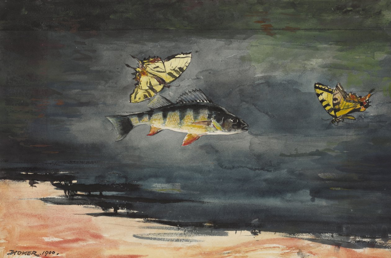 Poissons et papillons, 1900 - Winslow Homer