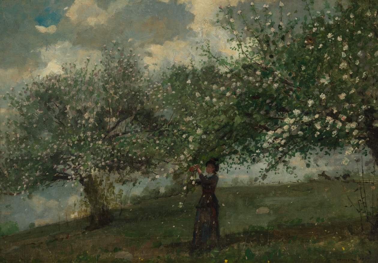 Fille Cueillant des Fleurs de Pommier - Winslow Homer