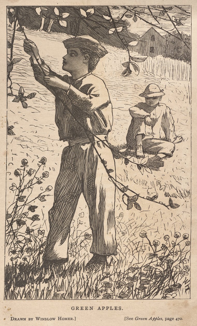 Pommes vertes - Winslow Homer