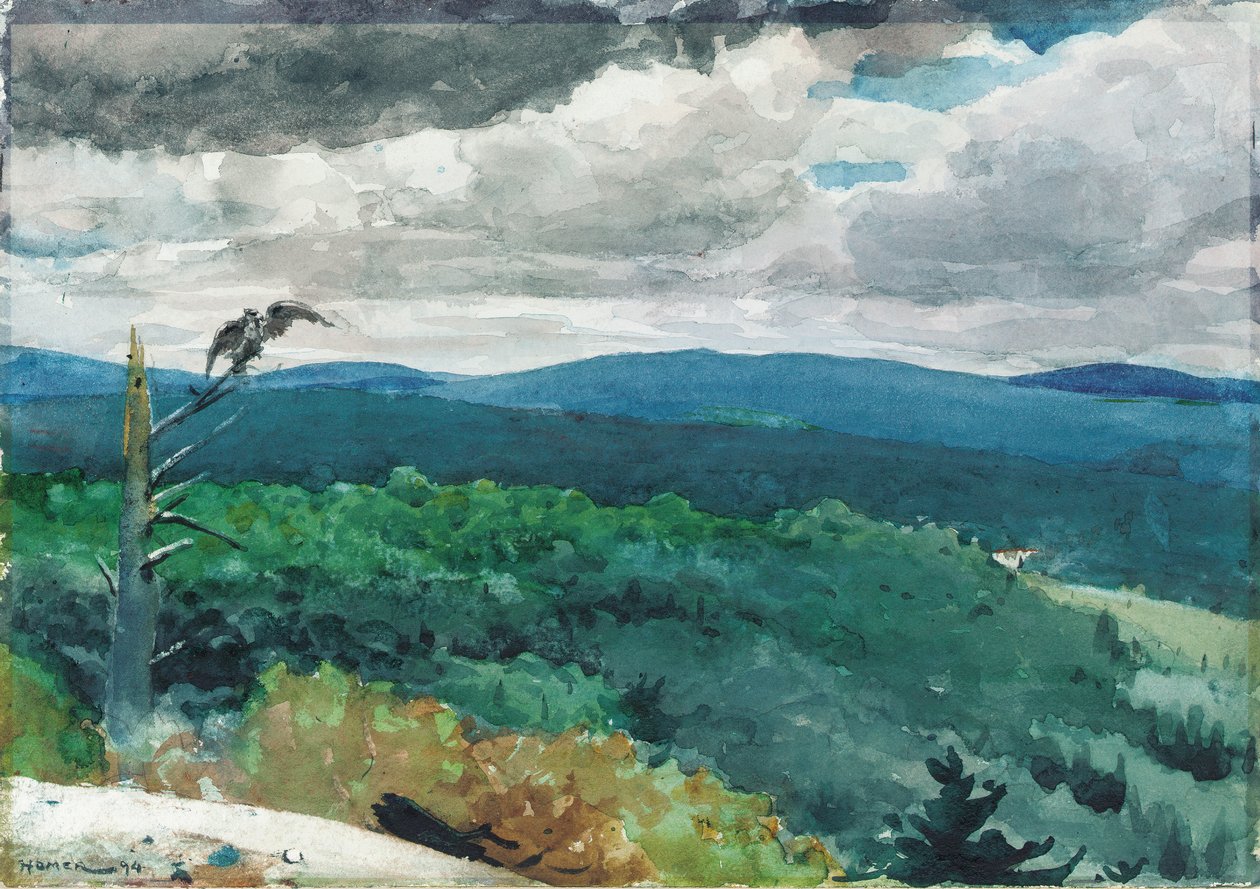 Paysage vallonné, 1894 - Winslow Homer