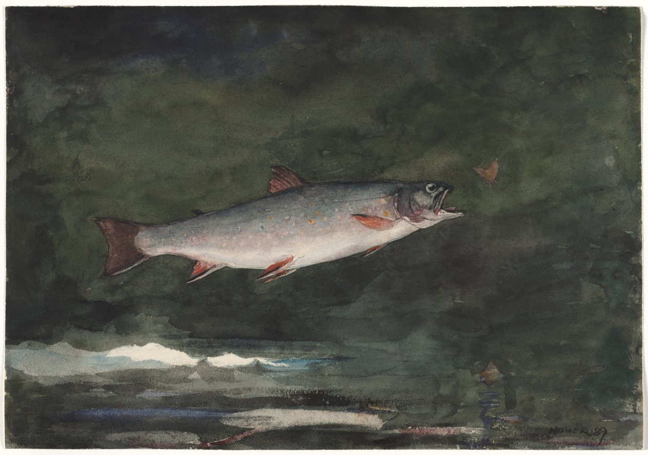 Truite bondissante, 1889 - Winslow Homer